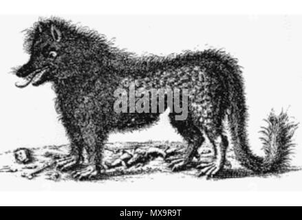 243 Gevaudan Monster 2 Foto Stock