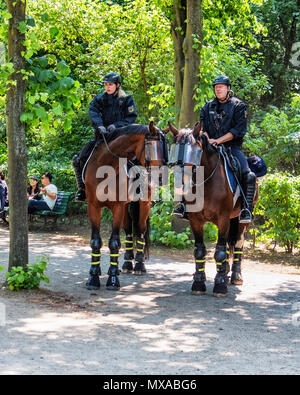 La germania,Berlin-Mitte, polizia montata su cavalli nel parco Tiergarten il giorno di AfD e anti proteste Afd.cavalli dotato di protezioni per occhi e le protezioni della gamba Foto Stock