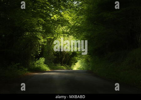 Sun pezzata road a Galway, Irlanda Foto Stock