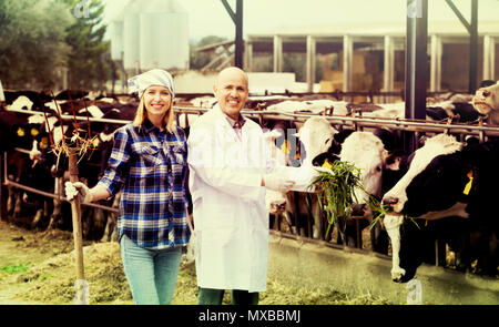 Ritratto di due lavoratori di veterinari lavora con latte di mucche vaccheria all'aperto Foto Stock