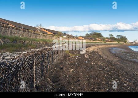 dh Gabion cesti DIFESA DEL MARE UK Seawall costa difesa gabioni Gabbie che mantengono la parete della spiaggia Scotland fife erosione costiera al mare Foto Stock