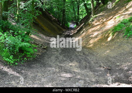 Una mountain bike dirt track a Leith Hill in Surrey Foto Stock