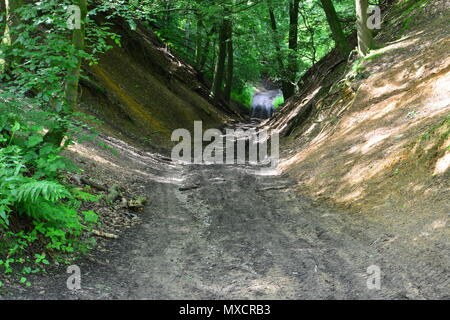 Una mountain bike dirt track a Leith Hill in Surrey Foto Stock