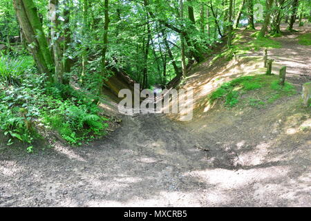 Una mountain bike dirt track a Leith Hill in Surrey Foto Stock