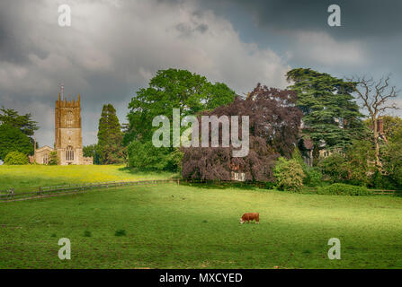 Xii secolo la chiesa della Santissima Trinità in Wickwar, South Gloucestershire, Regno Unito Foto Stock