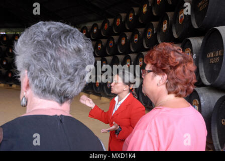 Una guida spiega per la sua piccola parte di visitatori su una gita a piedi a González Byass Tio Pepe, lo stoccaggio di sherry in legno Barili impilati in un la Foto Stock