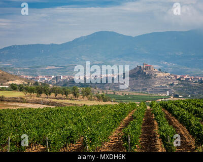 I vigneti e il panorama visto da Bodega Vivanco in Briones, Spagna. Foto Stock