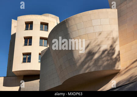 Cinémathèque Francaise progettato da Frank O. Gehry. Bercy, Parigi Foto Stock