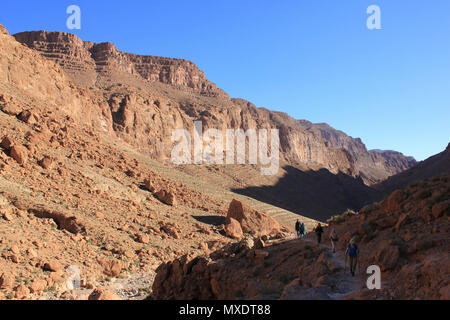 Escursioni nella valle del Todra Marocco Foto Stock