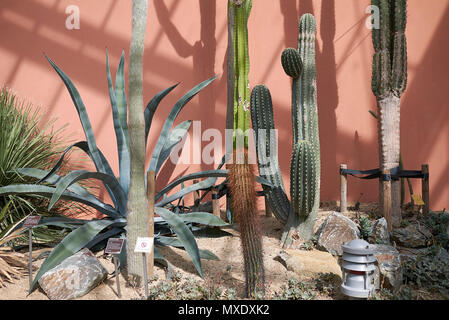 Amsterdam, Paesi Bassi - 16 Maggio 2018: Vista di amsterdam il giardino botanico Foto Stock