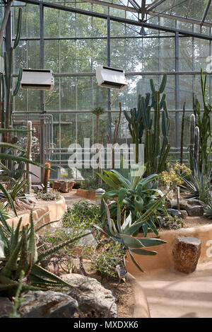 Amsterdam, Paesi Bassi - 16 Maggio 2018: Vista di amsterdam il giardino botanico Foto Stock