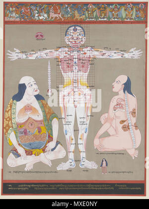 70.3/5477 593 Blue Beryl-Anatomy punti vulnerabili Foto Stock