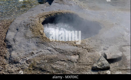 Lakeshore Geyser West Thumb Geyser Basin Parco Nazionale di Yellowstone Foto Stock