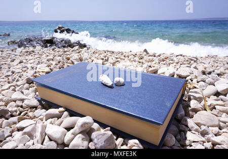 Prenota e conchiglie in riva al mare, con le onde del mare e la schiuma di mare sulla bella e soleggiata giornata d'estate. Vacanza e relax concept Foto Stock