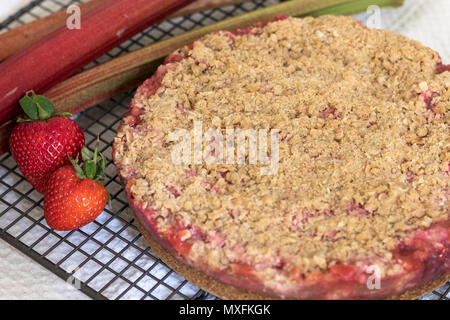 Pane appena sfornato di fragole e rabarbaro crumble slice. Senza glutine e senza latte e derivati. Un sano dessert o spuntino. Foto Stock