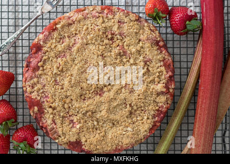 Pane appena sfornato di fragole e rabarbaro crumble slice. Senza glutine e senza latte e derivati. Un sano dessert o spuntino. Foto Stock