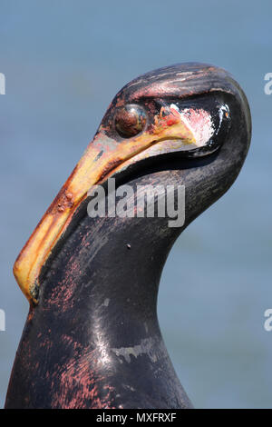 In prossimità della testa di una statua di cormorani che è su un post sulle ringhiere sul lungomare a lato del molo di pietra a Morecambe, Lancashire. Foto Stock