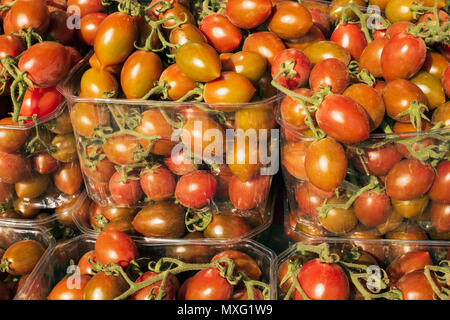 Orange pomodori freschi piccola forma allungata di sherry i pomodori in scatole di plastica trasparente. Foto Stock