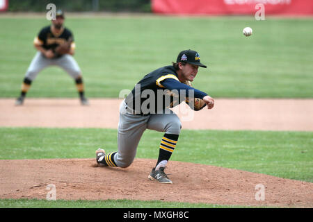 London, Canada. Intercounty Baseball League finale.Il London major e il Kitchener pantere giocato un 5h 26m gioco, pioggia è venuto giù nella terza inning per dare i giocatori e tifosi una piccola pausa. Quando l'azione riprende le major totalizzato 2 corre a legare il gioco a 3, il gioco è rimasto legato fino al fondo del decimo dove Cleveland Brownie(35) ha colpito un home run per terminare il gioco. Christian Hauck (17) ha dato fino 3 viene eseguito in 3 inning lanciati vs Londra. Luca Durda Alamy/live news Credito: Luca Durda/Alamy Live News Foto Stock