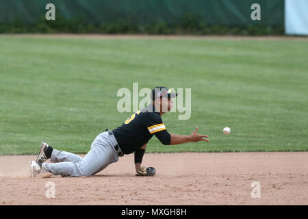 London, Canada. Intercounty Baseball League finale.Il London major e il Kitchener pantere giocato un 5h 26m gioco, pioggia è venuto giù nella terza inning per dare i giocatori e tifosi una piccola pausa. Quando l'azione riprende le major totalizzato 2 corre a legare il gioco a 3, il gioco è rimasto legato fino al fondo del decimo dove Cleveland Brownie(35) ha colpito un home run per terminare il gioco. Yorbis Borroto(35) lancia la pallina dal suo knes a Mike Andrulis (8) al fine inning. Luca Durda Alamy/live news Credito: Luca Durda/Alamy Live News Foto Stock