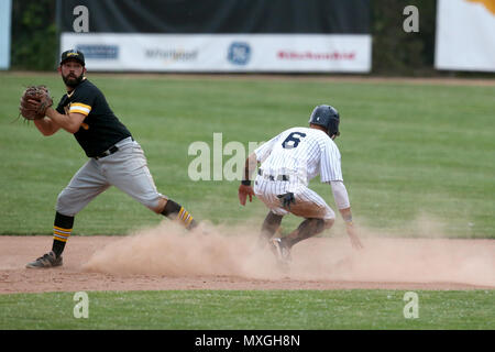 London, Canada. Intercounty Baseball League finale.Il London major e il Kitchener pantere giocato un 5h 26m gioco, pioggia è venuto giù nella terza inning per dare i giocatori e tifosi una piccola pausa. Quando l'azione riprende le major totalizzato 2 corre a legare il gioco a 3, il gioco è rimasto legato fino al fondo del decimo dove Cleveland Brownie(35) ha colpito un home run per terminare il gioco. Yorbis Borroto(35) lancia la pallina dal suo knes a Mike Andrulis (8) al fine inning. Luca Durda Alamy/live news Credito: Luca Durda/Alamy Live News Foto Stock