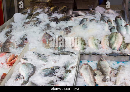 Una selezione di pesce fresco sul ghiaccio e per la vendita nel Mahane Yehuda contemplati nella strada del mercato di Gerusalemme Israele Foto Stock