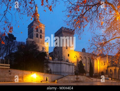 Maggiori gotico palazzo dei papi di notte le luci, Avignon, Francia Foto Stock