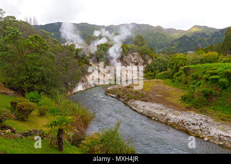 Le fumarole lungo una via navigabile creata dalle molle nella parte centrale del villaggio di Furnas sull isola Sao Miguel, Azzorre, Portogallo. Diversificata flora lussureggiante nell'area di Foto Stock