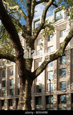 Giardino sale, UCL alloggi per studenti, Cartwright Gardens, Bloomsbury, Londra Foto Stock