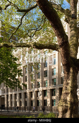 Giardino sale, UCL alloggi per studenti, Cartwright Gardens, Bloomsbury, Londra Foto Stock