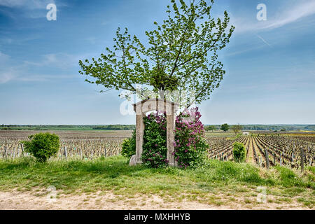 MOREY ST. DENIS, Francia - 22 Aprile 2018: una vecchia porta di pietra segna la posizione del premier cru Clos des Ormes vigna vicino a Morey St Denis. Foto Stock