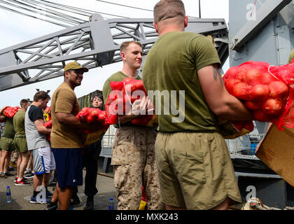 161109-N-TI017-086 Golfo di Aden (nov. 9 ,2016) Marinai e Marines formano un gruppo di lavoro per riporre le forniture a bordo del dock anfibio sbarco nave USS Whidbey Island (LSD 41). Whidbey Island viene distribuito con la Vespa Anfibia gruppo pronto per supportare le operazioni di sicurezza marittima e di teatro la cooperazione in materia di sicurezza gli sforzi negli Stati Uniti Quinta Flotta area di operazioni. (U.S. Navy foto di Sottufficiali di 2a classe di Nathan R. McDonald/rilasciato) Foto Stock