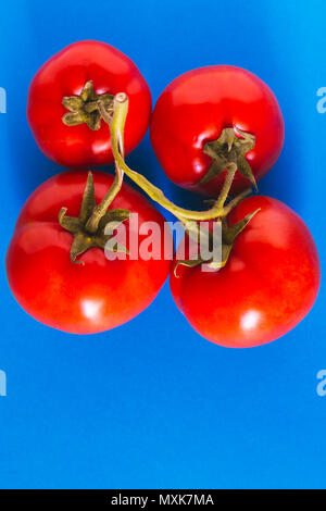 Pomodori su uno sfondo blu. Colori complementari Foto Stock