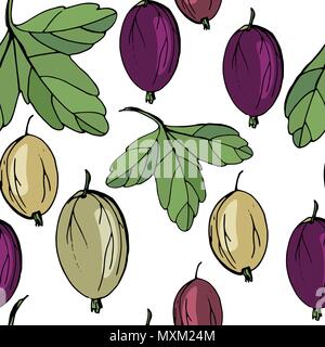 Seamless pattern con l'uva spina. Infinite texture con maturi acini gustosi Illustrazione Vettoriale