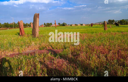 Antica Civiltà Megalitica stela campo in Axum, Tigray, Etiopia Foto Stock