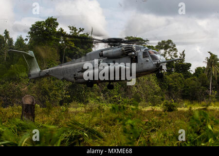 Provincia di Sabah, Malesia (11 novembre 2016) - Un CH-53E Super Stallion terre al designato zona di atterraggio durante l'esercizio Tiger Strike 2016 nella provincia di Sabah, Malesia, nov. 11. Tiger colpire 16 è una opportunità per la Malaysia e gli Stati Uniti le forze armate per rafforzare strutture militari partnership e aumenta la capacità di tutti i partecipanti al progetto, di comunicare e di eseguire le operazioni anfibie. Lo Stallone e il suo equipaggio sono con Marine mezzo squadrone Tiltrotor 163 (rinforzato). (U.S. Marine Corps photo by Lance Cpl. Brandon Maldonado/rilasciato) Foto Stock