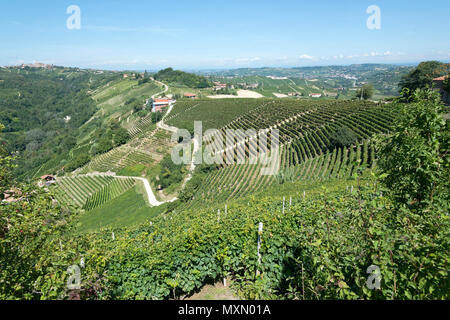 L'Italia, panorama di vigneti del Piemonte: Langhe-Roero e Monferrato nella Lista del Patrimonio Mondiale UNESCO Italia, Piemonte, Vieneyards Foto Stock