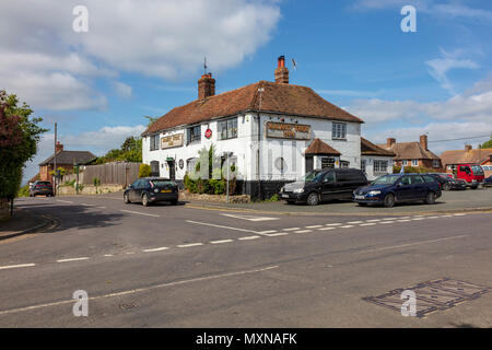 L'albero di Noce un pastore Neame pub di Aldington, Kent, Regno Unito Foto Stock