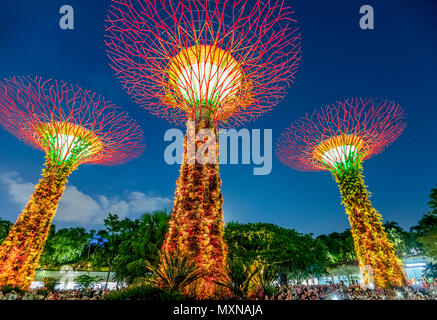 Singapore - Aprile 29, 2018: Supertree Grove presso i giardini della baia durante il giardino Rhapsody luce e suono mostra al blue ora in central Singapore, area di Marina Bay. Popolare attrazione turistica. Foto Stock