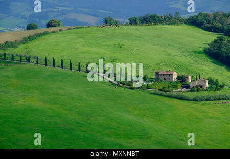 stone house in tuscan landscape, tuscany, italy Foto Stock