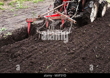 Agricoltore preparazione della terra per la semina. Il trattore lavora in azienda, un moderno trasporto agricolo, lavorando nel campo, terra fertile, la coltivazione della LAN Foto Stock