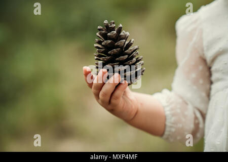 Cono di pino sulla mano del bambino.concetto Natura Foto Stock