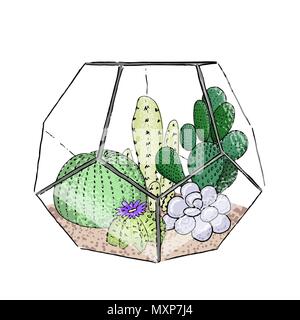 Succulenta collezione di cactus in un vaso di ceramica. Agave, aloe, Saguaro, gastraea, "Haworthia", echeveria, Pachyphytum, fico d'india Illustrazione Vettoriale