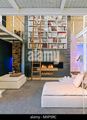 Soggiorno moderno interno in primo piano il tessuto divano in background il caminetto e la libreria Foto Stock