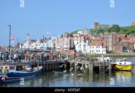 La Marina e Porto di Whitby nel North Yorkshire su un intenso weekend festivo Foto Stock