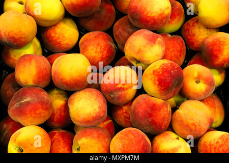 Carni rosse e giallo (pesche o nettarine) (Prunus persica) su un cesto di frutta per la vendita in bio supermercato o negozio di alimentari durante la primavera e somma Foto Stock