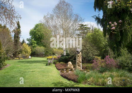 Un bosco radura in Hillier arboretum in tarda primavera NEL REGNO UNITO Foto Stock