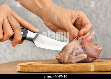 Mani il taglio di quaglia con un coltello prima di cucinare Foto Stock