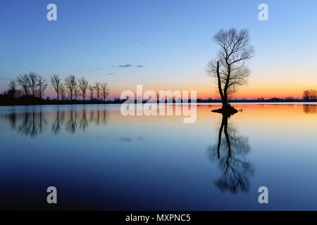 Albero di Silhouette al tramonto al lago Foto Stock