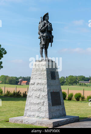 Austrialian digger memorial, Bullecourt, Francia Foto Stock